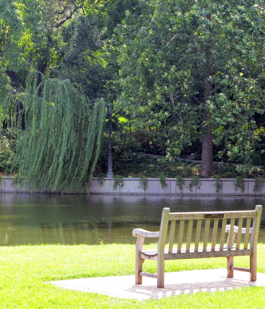 Leere Gartenbank im Hintergrund ein Fluß Leere Gartenbank im Hintergrund ein Fluß