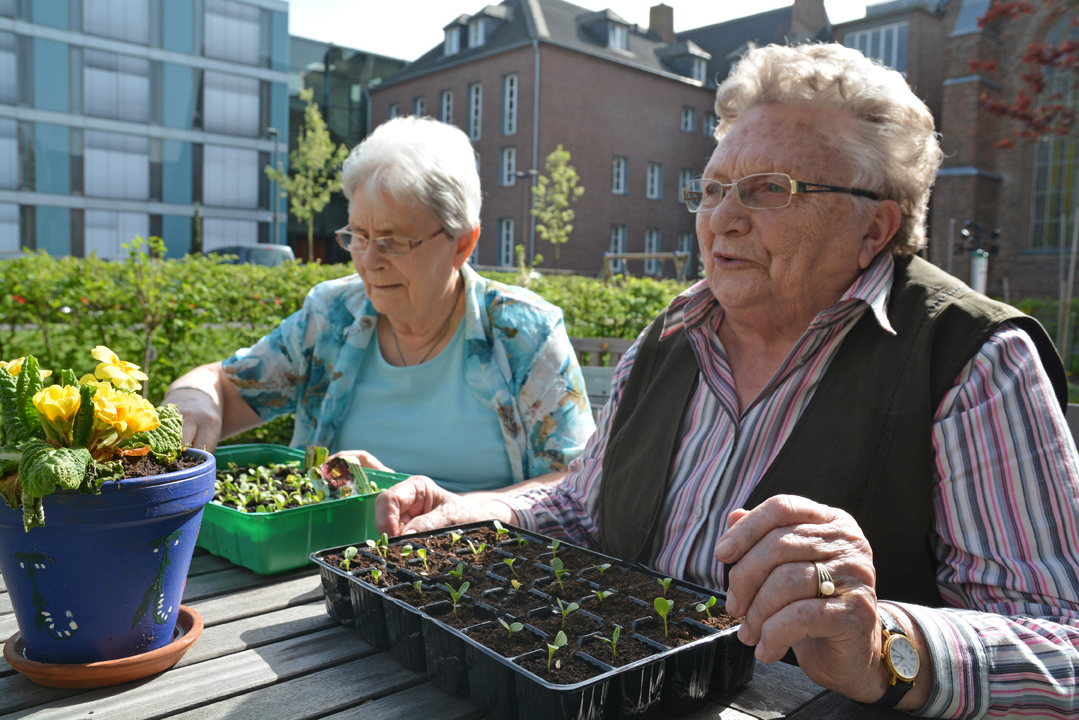 Tagespflegegäste bei der Gartenarbeit